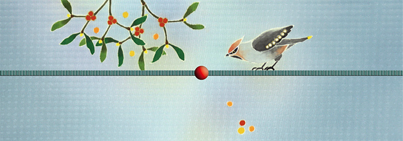 三分紐を締めたイメージ(関東巻)