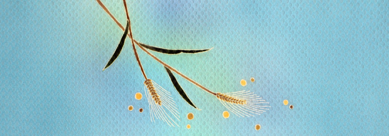 毬花 前部分(関西巻)