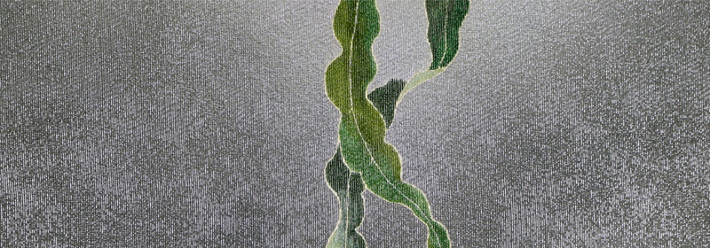 月下美人　前部分（関西巻）