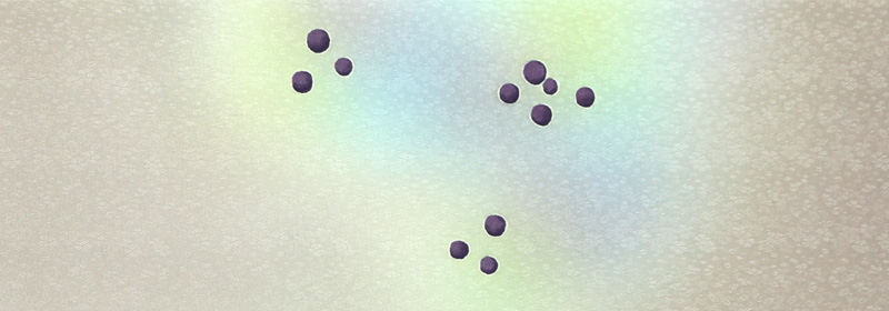 葡萄・栗鼠　前部分（関西巻）